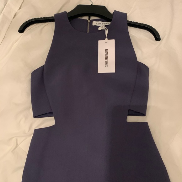 NWT ELIZABETH AND JAMES DRESS - Picture 4 of 8